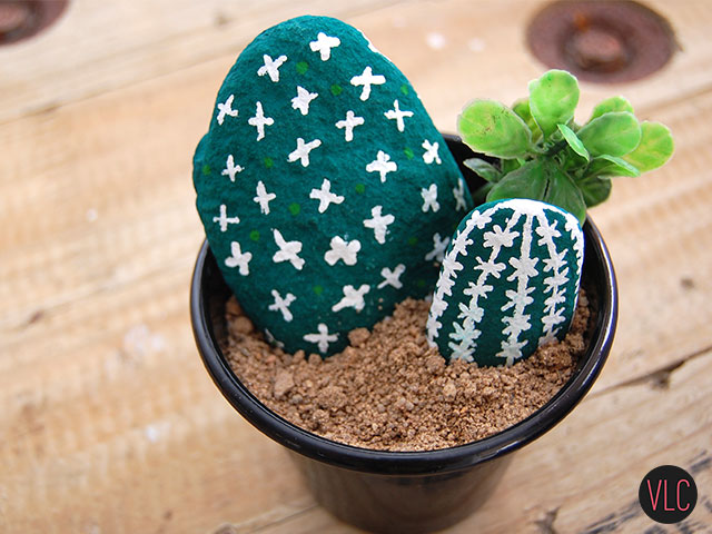 DIY cactus de pedra resultado